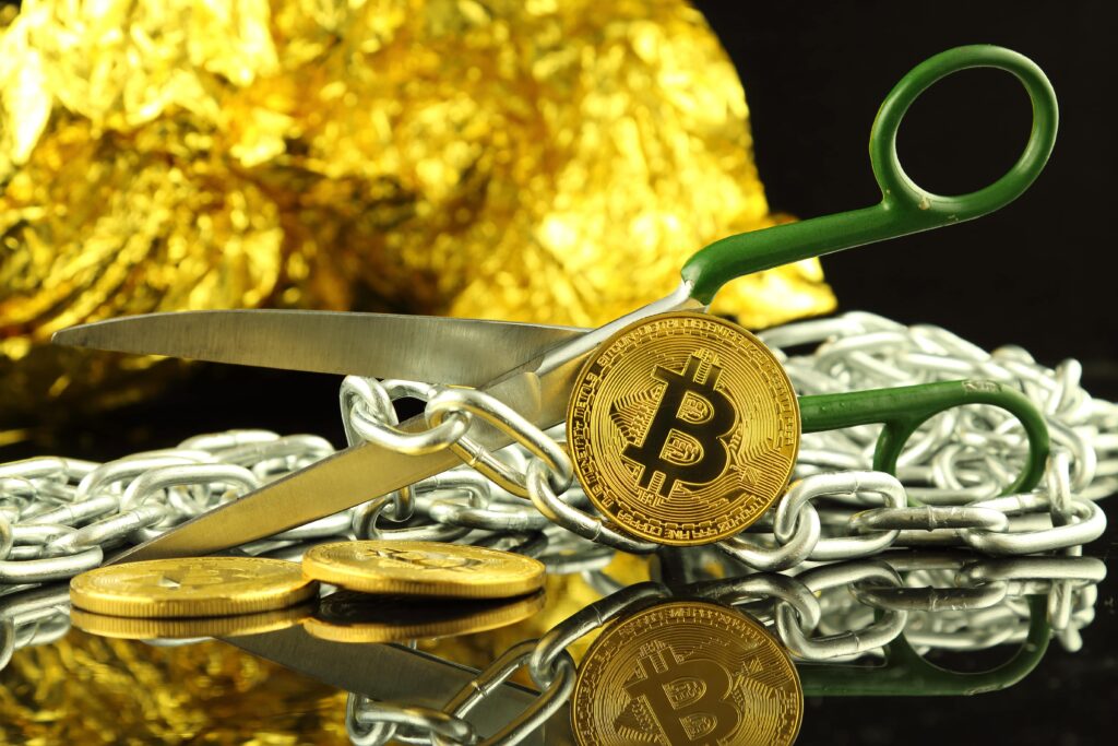 Bitcoinový fork 
